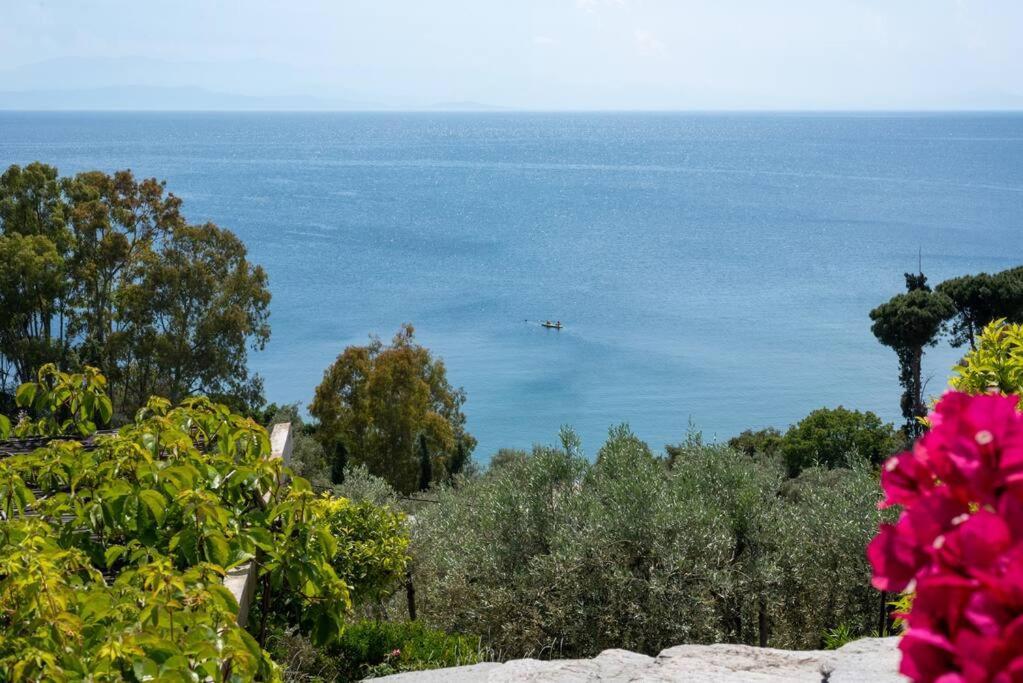 Seaside House With View Over Pagasitikos Afissos Exterior photo